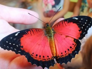 IMG_20210326_114248